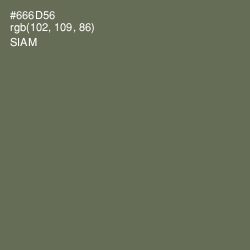 #666D56 - Siam Color Image