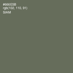 #666E5B - Siam Color Image