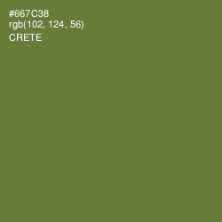 #667C38 - Crete Color Image