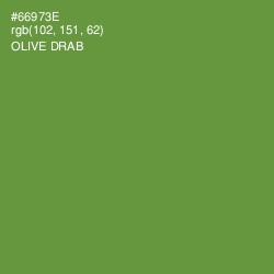 #66973E - Olive Drab Color Image