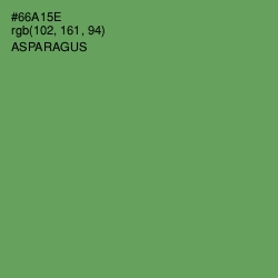 #66A15E - Asparagus Color Image