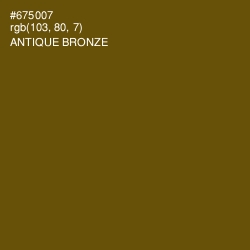 #675007 - Antique Bronze Color Image