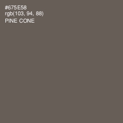 #675E58 - Pine Cone Color Image