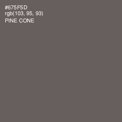 #675F5D - Pine Cone Color Image
