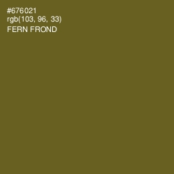 #676021 - Fern Frond Color Image