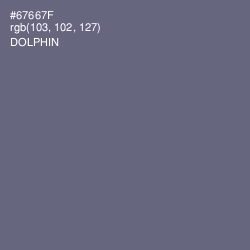 #67667F - Dolphin Color Image