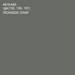#676A65 - Ironside Gray Color Image