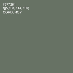 #677264 - Corduroy Color Image