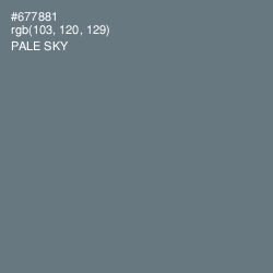 #677881 - Pale Sky Color Image