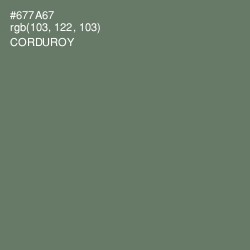 #677A67 - Corduroy Color Image