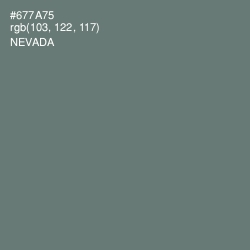 #677A75 - Nevada Color Image