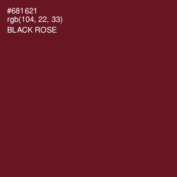 #681621 - Black Rose Color Image