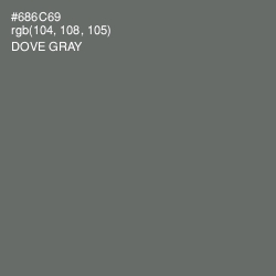 #686C69 - Dove Gray Color Image