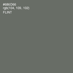 #686D66 - Flint Color Image