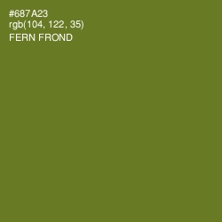 #687A23 - Fern Frond Color Image