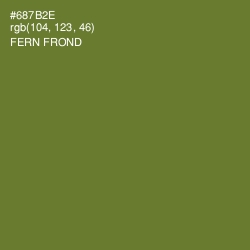 #687B2E - Fern Frond Color Image