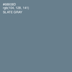 #68808D - Slate Gray Color Image