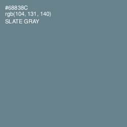 #68838C - Slate Gray Color Image