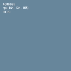 #68869B - Hoki Color Image