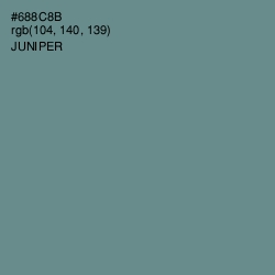 #688C8B - Juniper Color Image