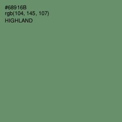 #68916B - Highland Color Image