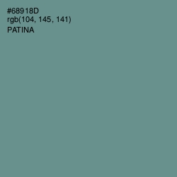 #68918D - Patina Color Image