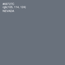 #69727C - Nevada Color Image