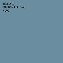 #698D9D - Hoki Color Image
