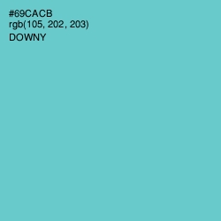 #69CACB - Downy Color Image