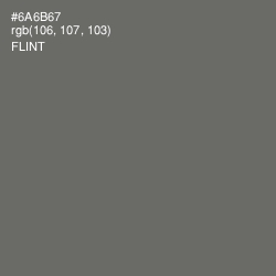 #6A6B67 - Flint Color Image