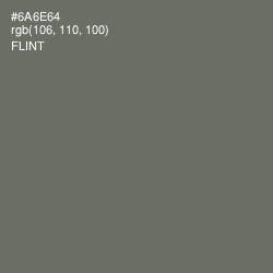 #6A6E64 - Flint Color Image