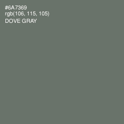 #6A7369 - Dove Gray Color Image