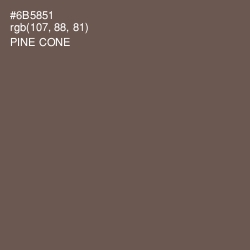 #6B5851 - Pine Cone Color Image