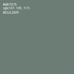 #6B7D75 - Boulder Color Image