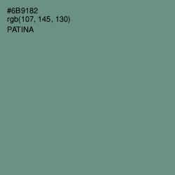 #6B9182 - Patina Color Image