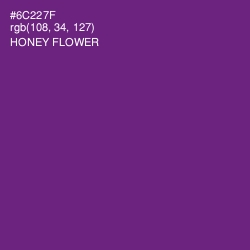 #6C227F - Honey Flower Color Image