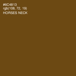#6C4813 - Horses Neck Color Image