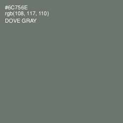 #6C756E - Dove Gray Color Image