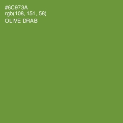 #6C973A - Olive Drab Color Image