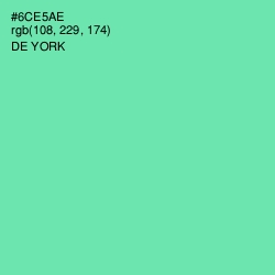 #6CE5AE - De York Color Image