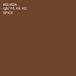 #6E452A - Spice Color Image