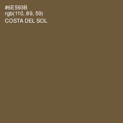 #6E593B - Costa Del Sol Color Image