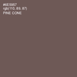 #6E5957 - Pine Cone Color Image