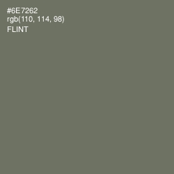 #6E7262 - Flint Color Image