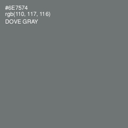 #6E7574 - Dove Gray Color Image