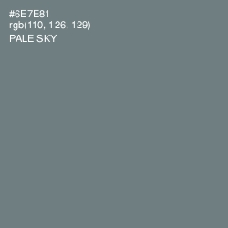 #6E7E81 - Pale Sky Color Image