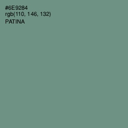 #6E9284 - Patina Color Image