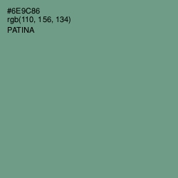 #6E9C86 - Patina Color Image