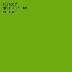 #6EAB0C - Christi Color Image