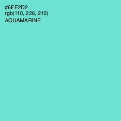 #6EE2D2 - Aquamarine Color Image
